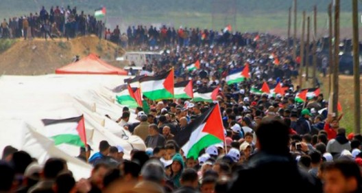 bandiere palestinesi in manifestazione