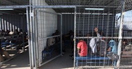 gabbie per detenuti palestinesi