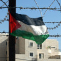 bandiera palestinese e filo spinato (icona)
