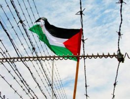 bandiera palestinese e filo spinato (2)