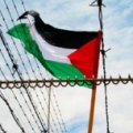 bandiera palestinese e filo spinato (2 - icona)